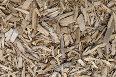 biomass boilers Lynstone